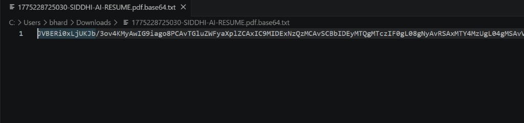 Data Sanitizer screenshot